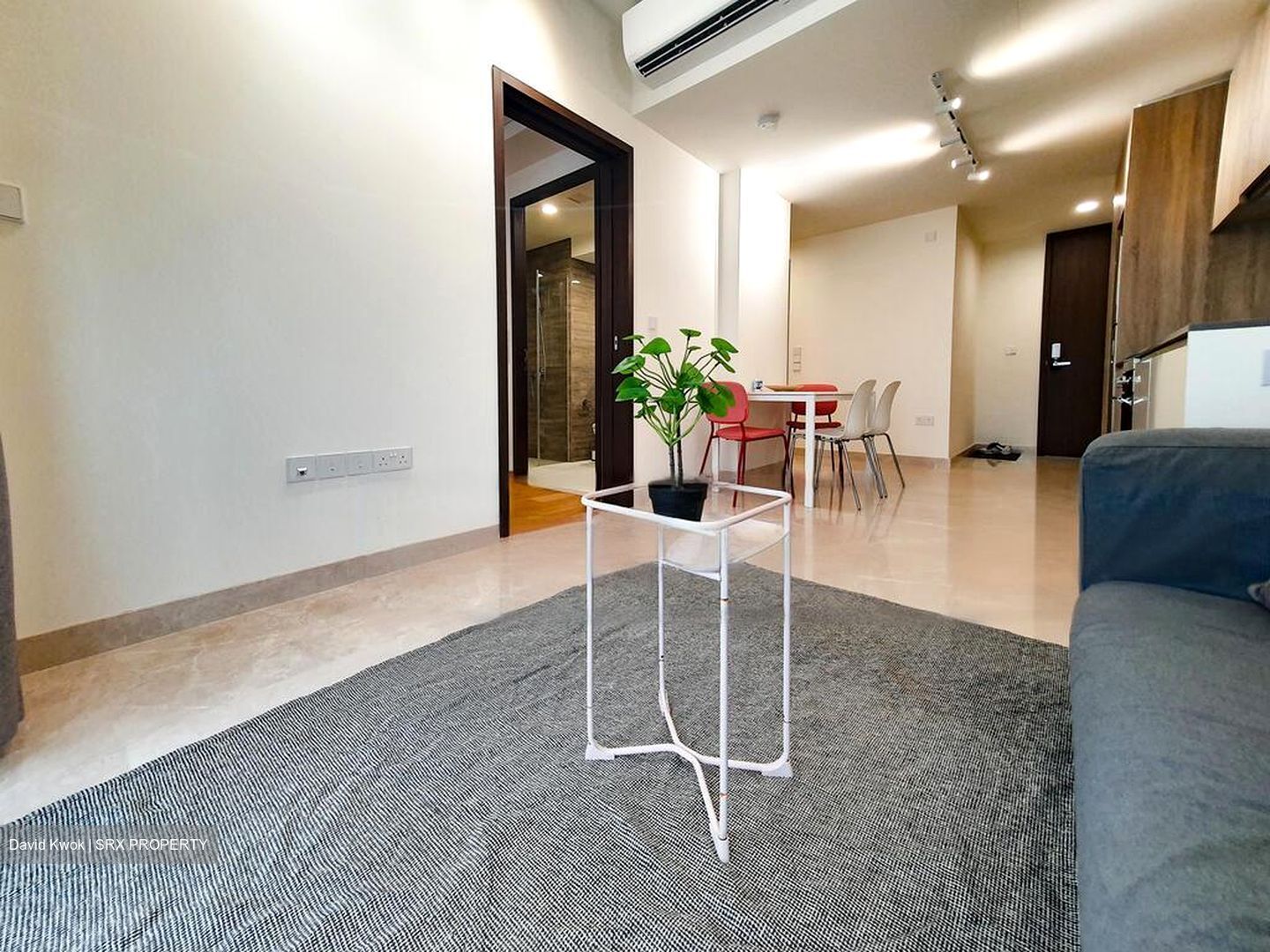 Park Place Residences At Plq (D14), Apartment #462600711